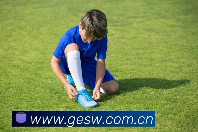 Coming Soon平台生态图